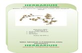 Herbarium Cover