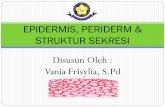 Bahan Ajar Epidermis, Periderm, & Struktur Sekresi Vania F.,S.Pd