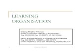 Learning organisation