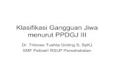 28554403 Klasifikasi Gangguan Jiwa Menurut PPDGJ III