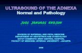 USG Intensif 5. Adnexa Normal & Pathology JJE 20090525