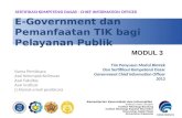 Modul 3 e-government 2012