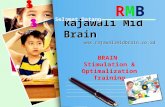 Rajawali Mid Brain Marketing Plan I 087880003456