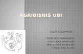 Prospek Agribisnis