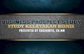 An Introduction to Business Prospect Study