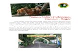Panduan Tour Taman Safari Indonesia