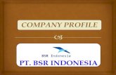 Company Profile PT. BSR Indonesia