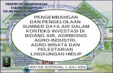 Perspektif Pembangunan Kabupaten Soppeng