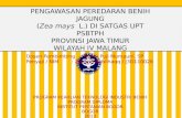 Pengawasan Peredaran Benih Jagung di UPT PSBTPH Wilayah IV Malang, Jawa Timur