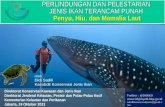 Perlindungan dan Pelestarian Jenis Ikan Terancam Punah (penyu, hiu, pari, dan mamalia laut)