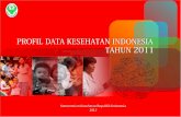Profil Data Kesehatan Indonesia Tahun 2011