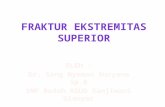 Fraktur Ekstremitas Superior - Copy