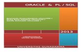 Oracle Dan PL SQL