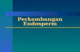 perkembangan endosperm