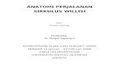 Anatomi Perjalanan Sirkulus Willisi