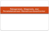 38935435 Pa to Genesis Diagnosis Dan Penatalaksanaan Marasmus Kwashiorkor
