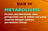 Ppt  metabolisme