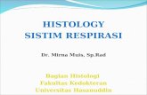 Histology Sistim Respirasir
