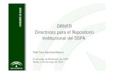DRIVER. Directrices para el Repositorio Institucional del SSPA