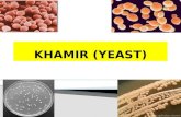 Khamir (Yeast)