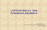 Kapita Selecta Leptospirosis Timoho 10-3-2011