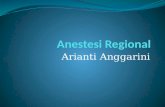 Ppt Anestesi Regional Anggi
