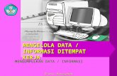 Mengelola data informasi di tmpt kerja indonesia