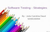 Software testing  strategies