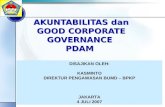 Akuntabilitas dan Good Corporate Governance PDAM (2007)
