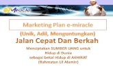 Marketing Plan E Miracle