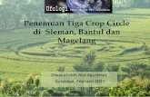 Crop circle di indonesia