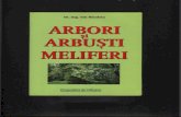 Arbori Si Arbusti Meliferi - Dr. Ing. Ion Nicoleta - 83