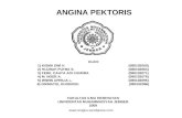 Angina pectoris preasentation