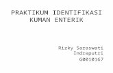 Praktikum Identifikasi Kuman Enterik 2011
