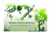 Proses-Proses Biologi Lanjutan