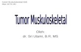 Dr. Sri Utami - Kul.muskuloskeletal-Kbk-blok 18