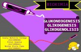 Glukogenesis,Glikoneogenesis Dan Glikogenolisis