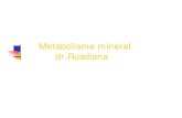 Bbc115 Slide Metabolisme Mineral