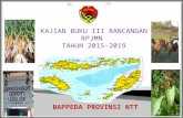 Kajian Buku III RPJMN 2015-2019 Nusa Tenggara Timur