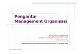 Romi managementorganisasi