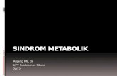 Sindrom metabolik dr anjang