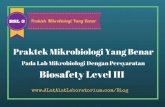 Praktek Mikrobiologi Yang Benar Pada Lab Mikrobiologi Dengan Persyaratan BioSafety Level III