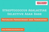 Streptococcus Agalactiae Selective Agar Base