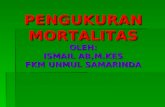 Indonesia IMR