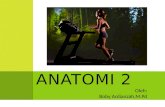 ANATOMI 2; ARTHROLOGY