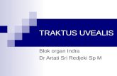Traktus Uvea - Dr Artati Des2012