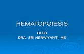 dr.herwiyati HEMATOPOIESIS