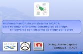 Dr. Ing. Flavio Capraro CONICET - INAUT. Implementación Implementación de un sistema SCADA para evaluar diferentes estrategias de riego en olivares con.