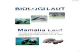 Biola Pertemuan-3 Mamalia-Laut 1