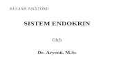 anatomi endokrin